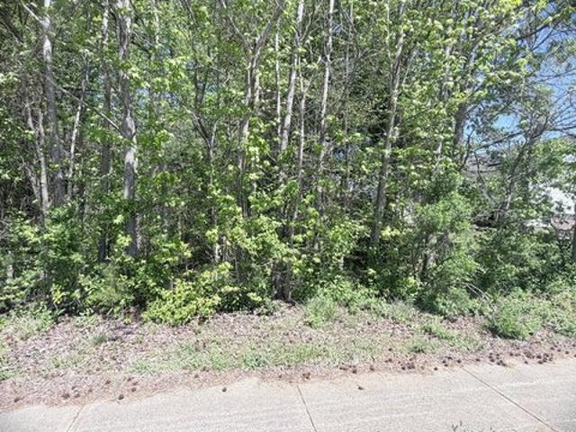 Land for sale in Siler City, Chatham County