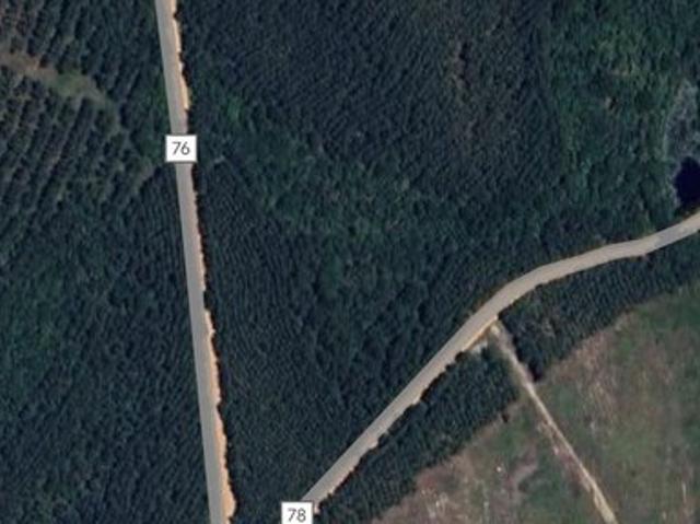 Land for sale in Milan, Georgia