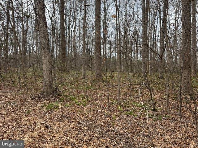 Land for sale in Virginia