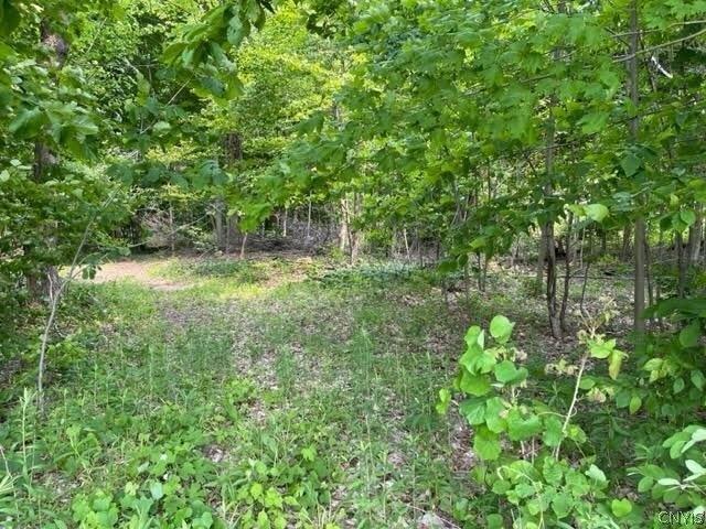 Land for sale in Canastota, New York