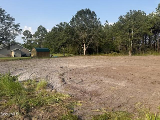 House for sale in Nahunta, Georgia