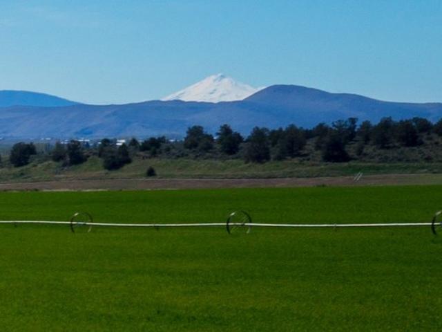 Land for sale in Oregonia