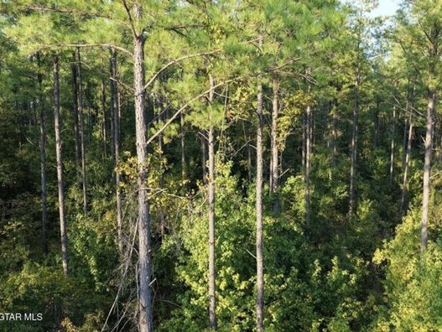 Land for sale in Maben, Oktibbeha County