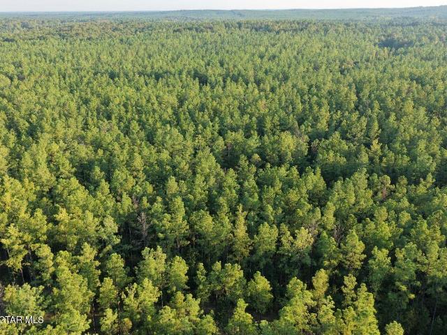 Land for sale in Maben, Oktibbeha County