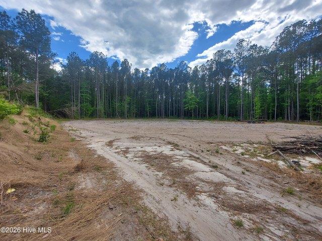 Land for sale in Burgaw, North Carolina