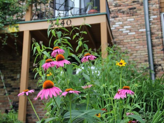 Apartment for rent in Hennepin, Minnesota