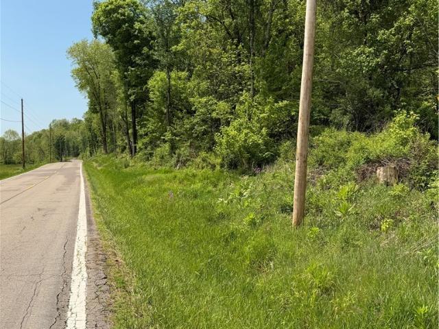 Land for sale in Noble, Ohio