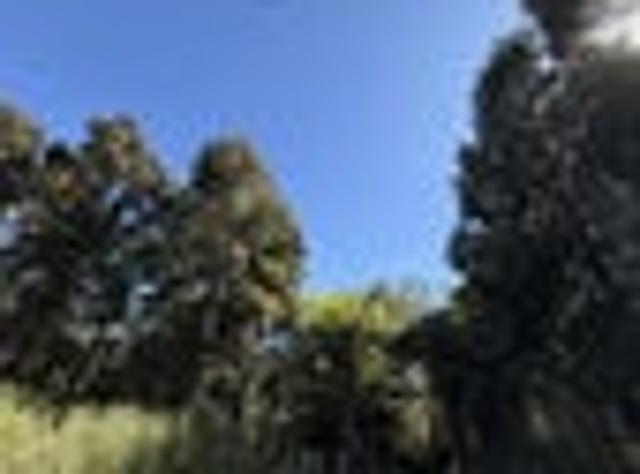 Land for sale in Otakou