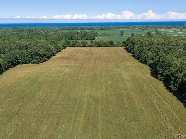 Land for sale in Lexington, Michigan