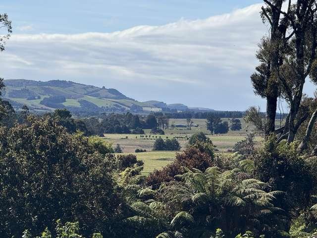 Property for sale in Otakou