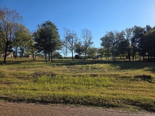 Land for sale in Malakoff, Texas