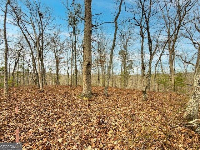 Land for sale in Gilmer, Georgia