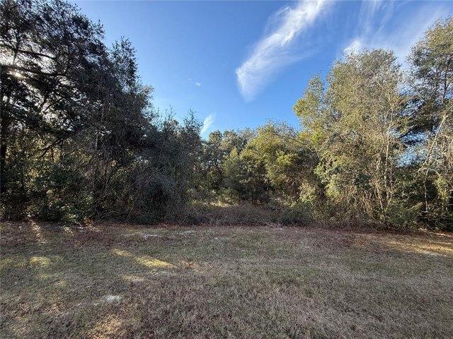 Land for sale in Lady Lake, Florida