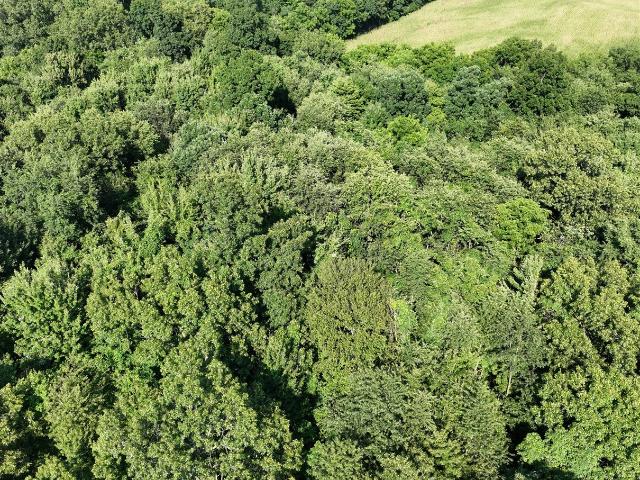 Land for sale in Niles, Michigan