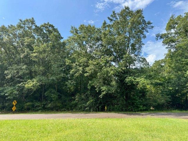 Land for sale in Pine Mountain, Georgia