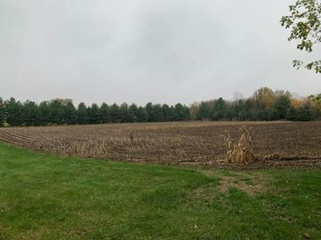 Land for sale in Racine, Minnesota