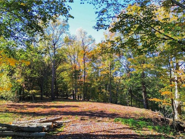 Land for sale in Ilion, New York