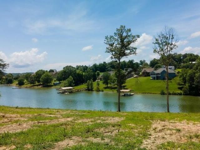 Land for sale in White Pine