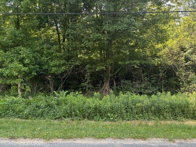 Land for sale in Coloma