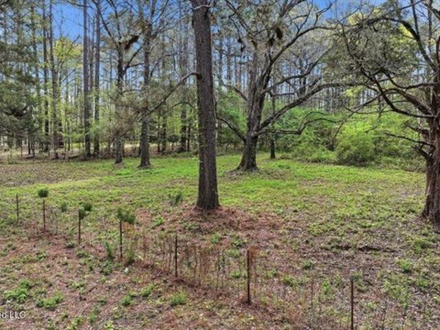 Farm for sale in Braxton, Mississippi
