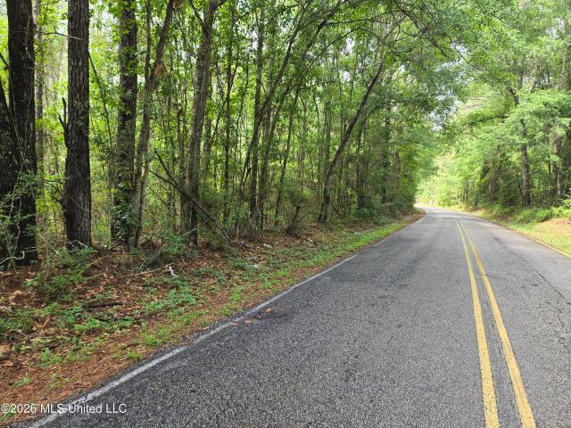 Land for sale in Carriere, Pearl River County