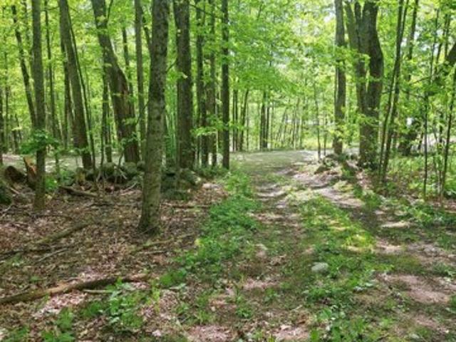 Land for sale in New Hampshire