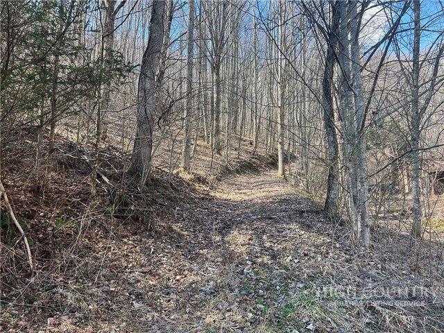 Land for sale in Lansing, Ashe County