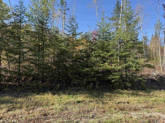 Land for sale in New Hampshire