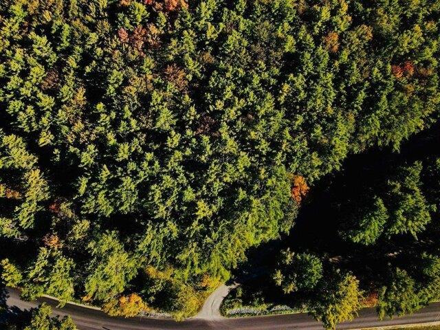 Land for sale in Plantsville, Vermont