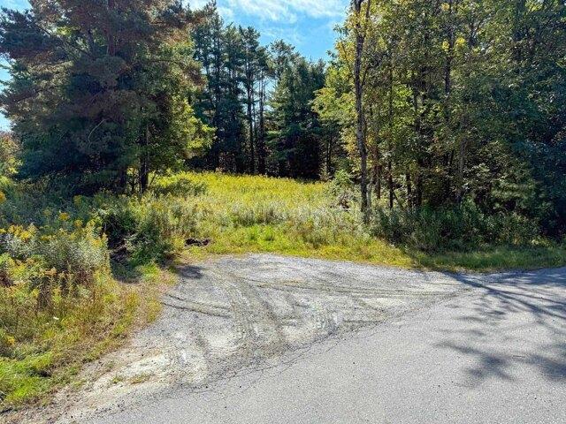 Land for sale in Plantsville, Vermont