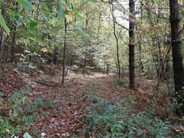 Land for sale in Plantsville, Vermont
