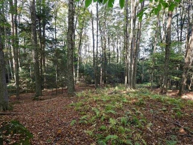 Land for sale in Plantsville, Vermont