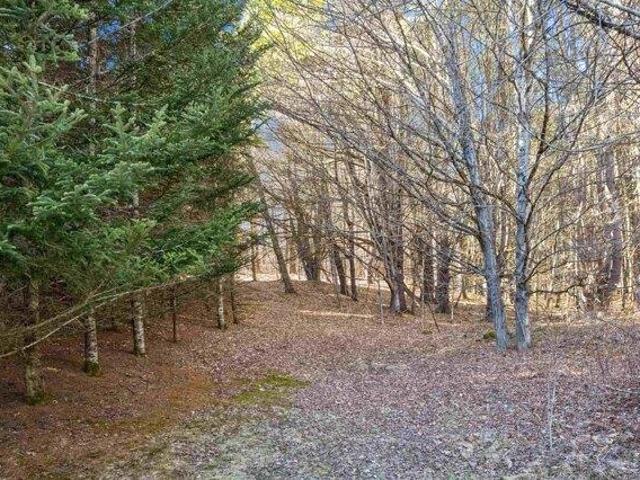 Land for sale in Plantsville, Vermont