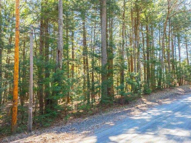 Land for sale in Plantsville, Vermont