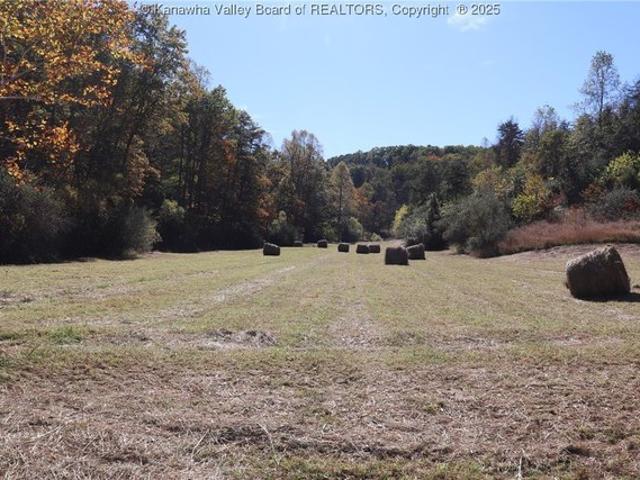 Land for sale in Le Roy, Minnesota