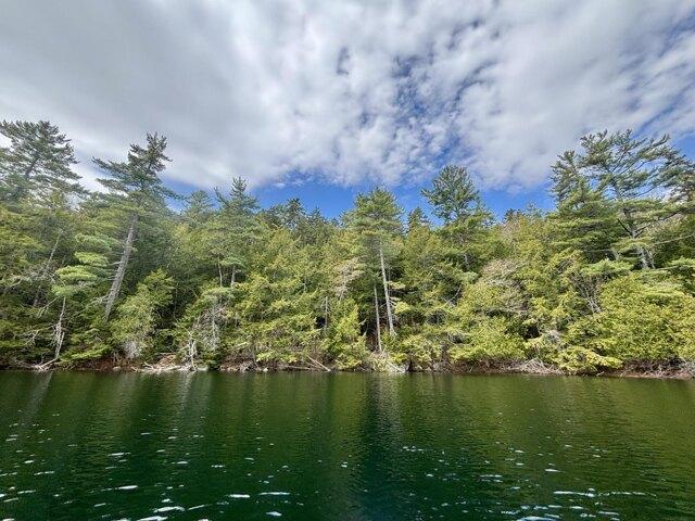 Land for sale in Orland, Maine