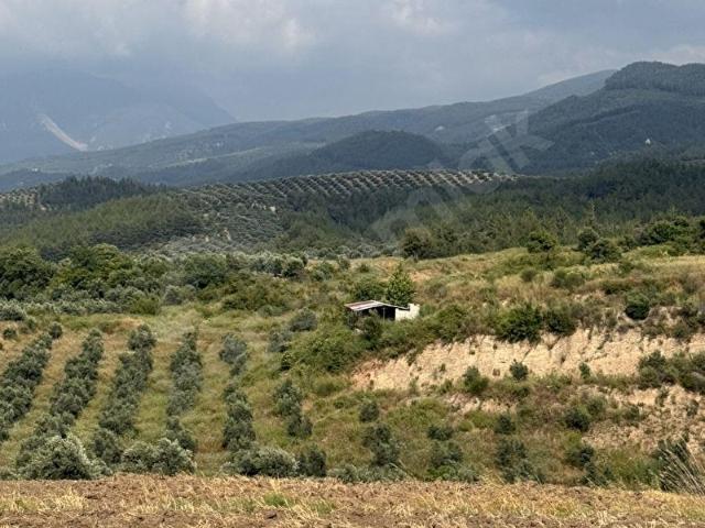 Osmaniye içerisinde satılık Arsa