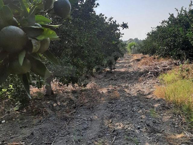 Erzin, Hatay içerisinde satılık mülk