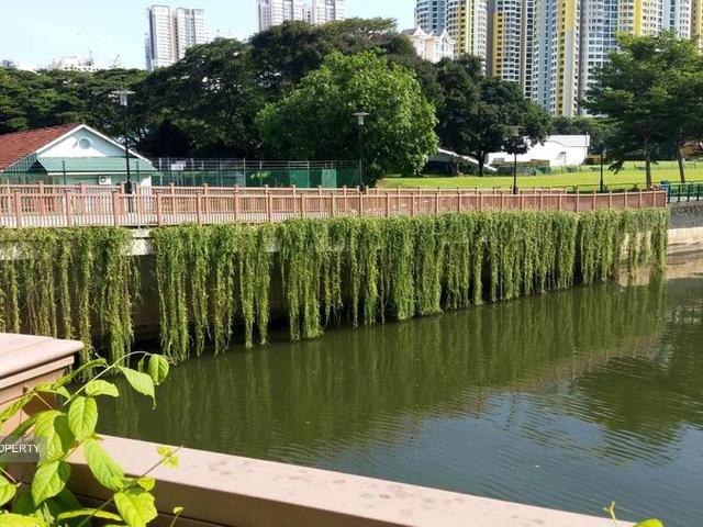 Apartment for rent in Tiong Bahru