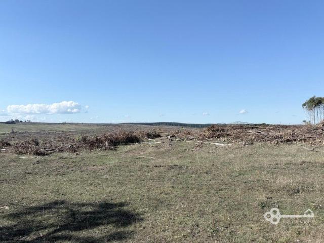 Cottage for sale in Nelson, Victoria