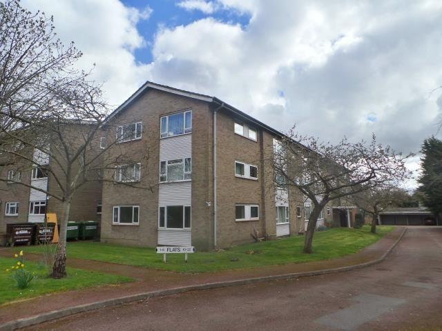 House for rent in Reading