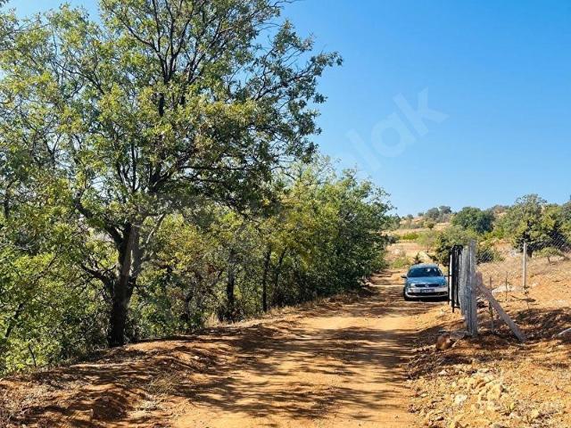 Morcalı, Karaman Merkez içerisinde satılık Arsa