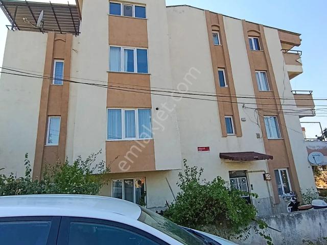 Kasaplar, Altıeylül içerisinde kiralık mülk