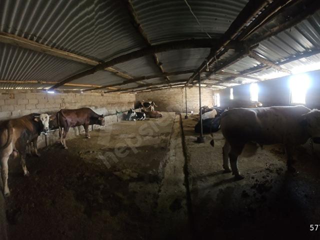 Elmadağ, Ankara içerisinde satılık Arsa