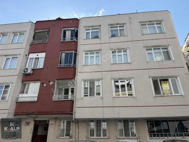 Çarşamba, Samsun içerisinde kiralık mülk