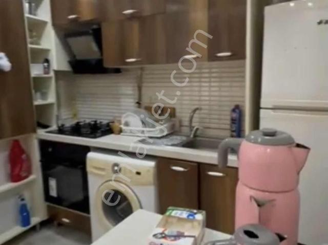 İstanbul Merkez, İstanbul içerisinde kiralık mülk