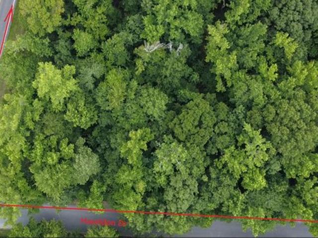 Land for sale in Manning, South Carolina