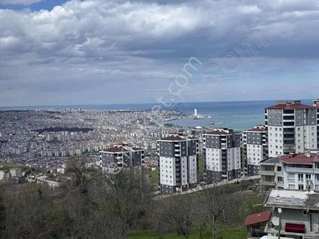 Canik, Samsun içerisinde kiralık mülk
