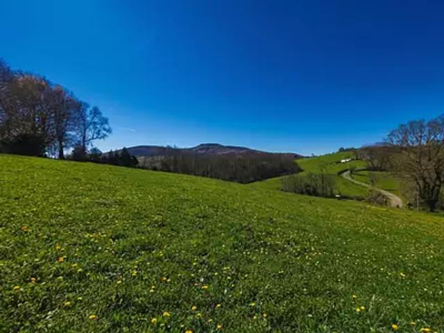 Terrain vente à Lapurdi, Hasparren