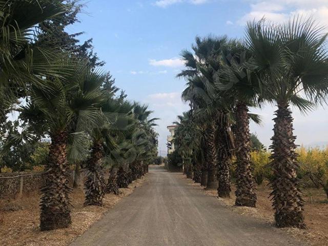 Hassa, Hatay içerisinde satılık Fabrika